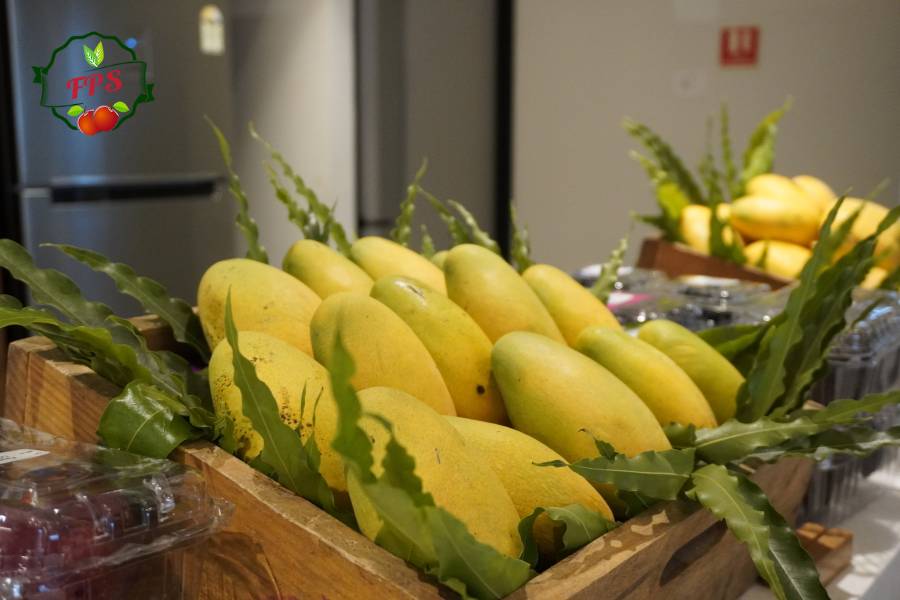 Crowned Yellow A Perfect Bunch Of Mangoes