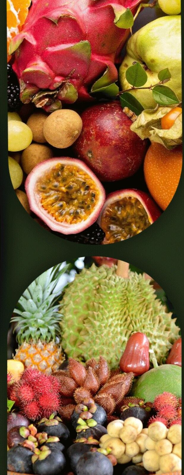 Domestic Indian fruits including mango, plums and cherries