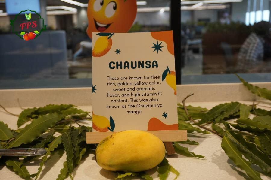 From Farm To Table Every Mango Counts