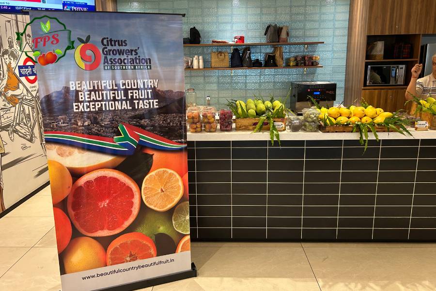 Global Goodness Celebrating Citrus From South Africa