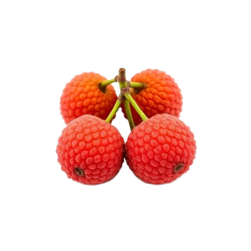 Lychee