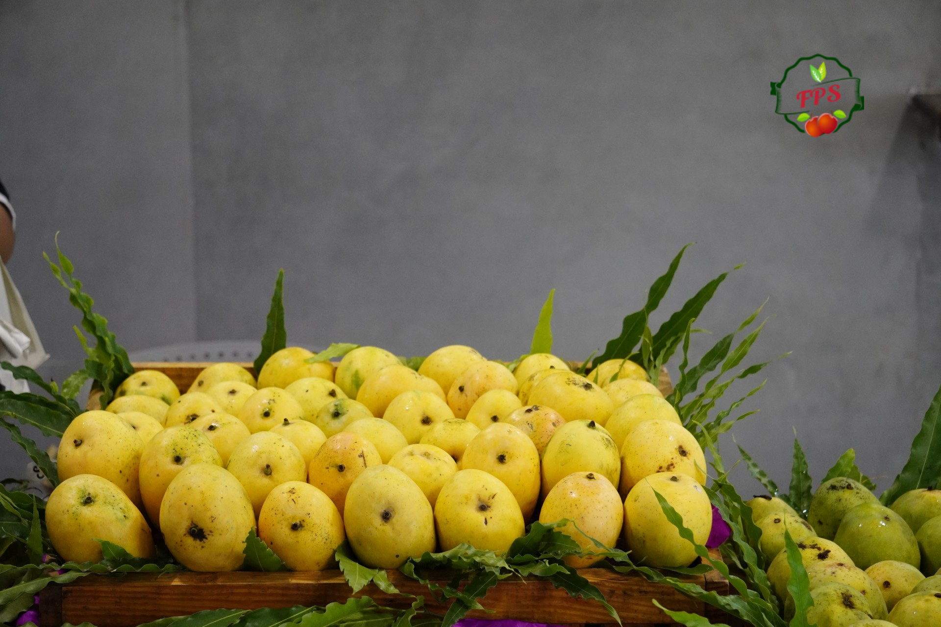Mango Fruit Display Fps Seasonal Event Highlight
