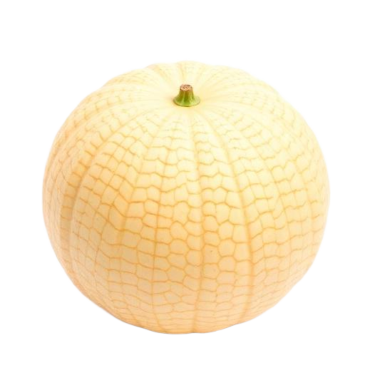 Muskmelon