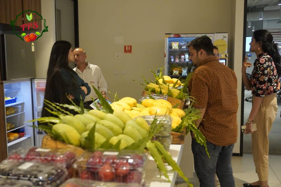 Office Vibes Conversations Over Mangoes